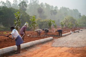 habitats arle roads plantation